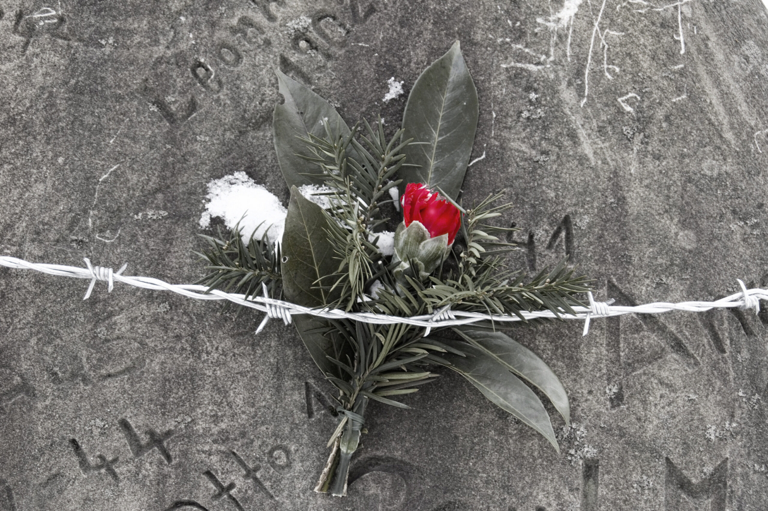 ökumenisches Pogromgedenken am So, 9.11.25 um 17.00 Uhr in St.Josef