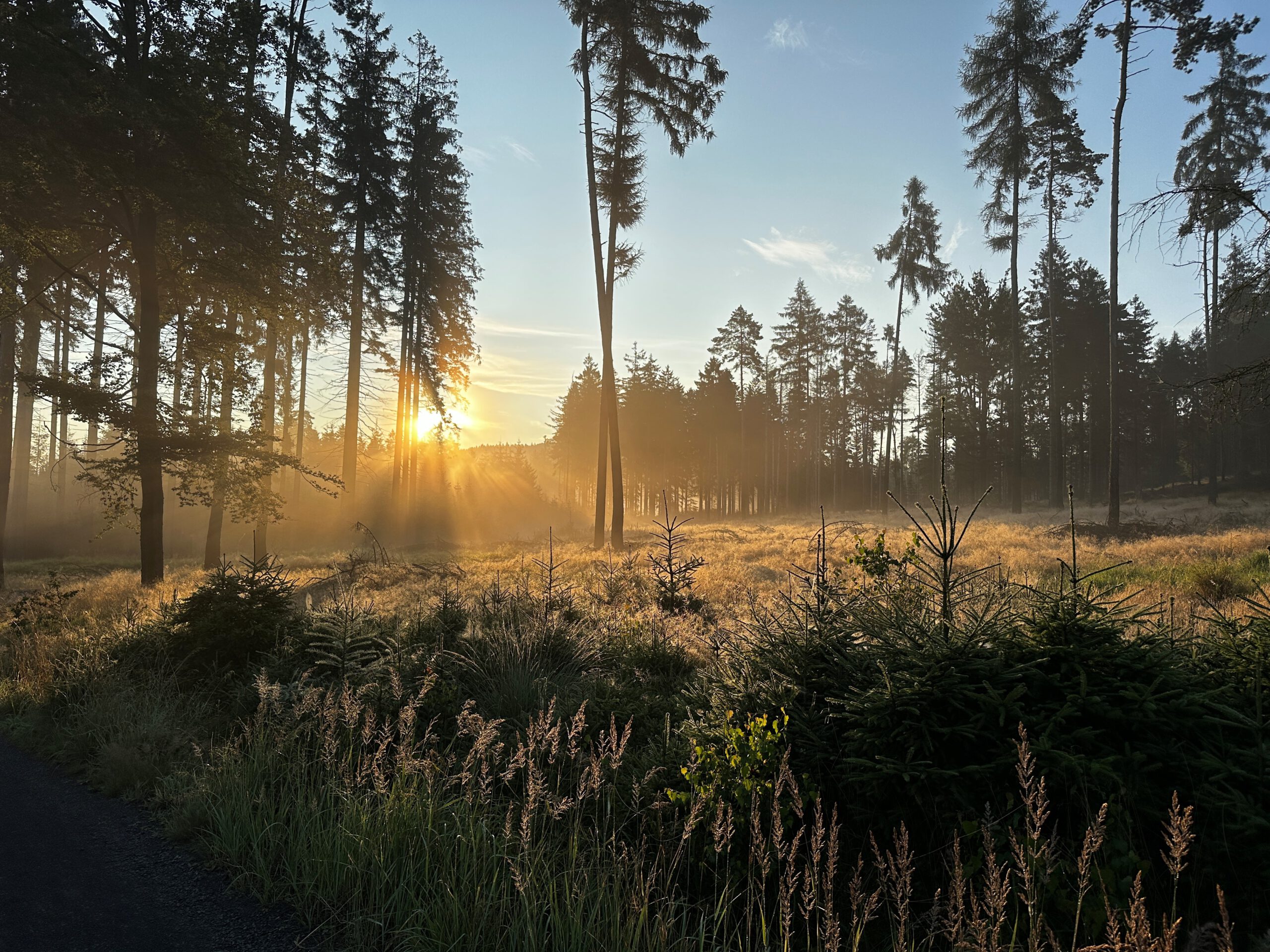 Die eigene Vergänglichkeit | Geistlicher Impuls | 19.11.2025