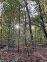 Wenn es früher dunkel wird | Geistlicher Impuls | 21.10.2026