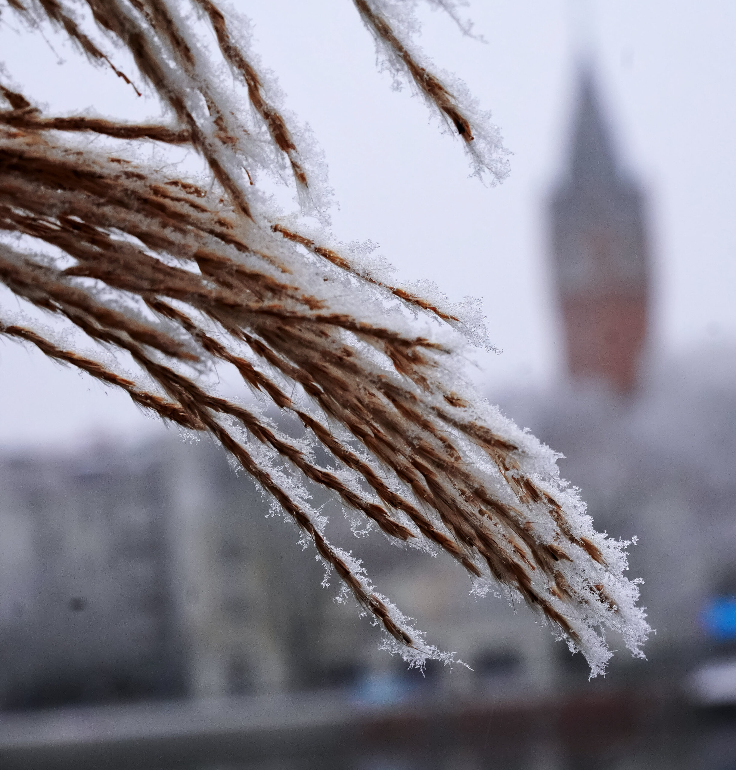 Bitte in der Kälte niemanden allein lassen!