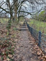 Kleine leise Schritte | Geistlicher Impuls | 25.02.2026