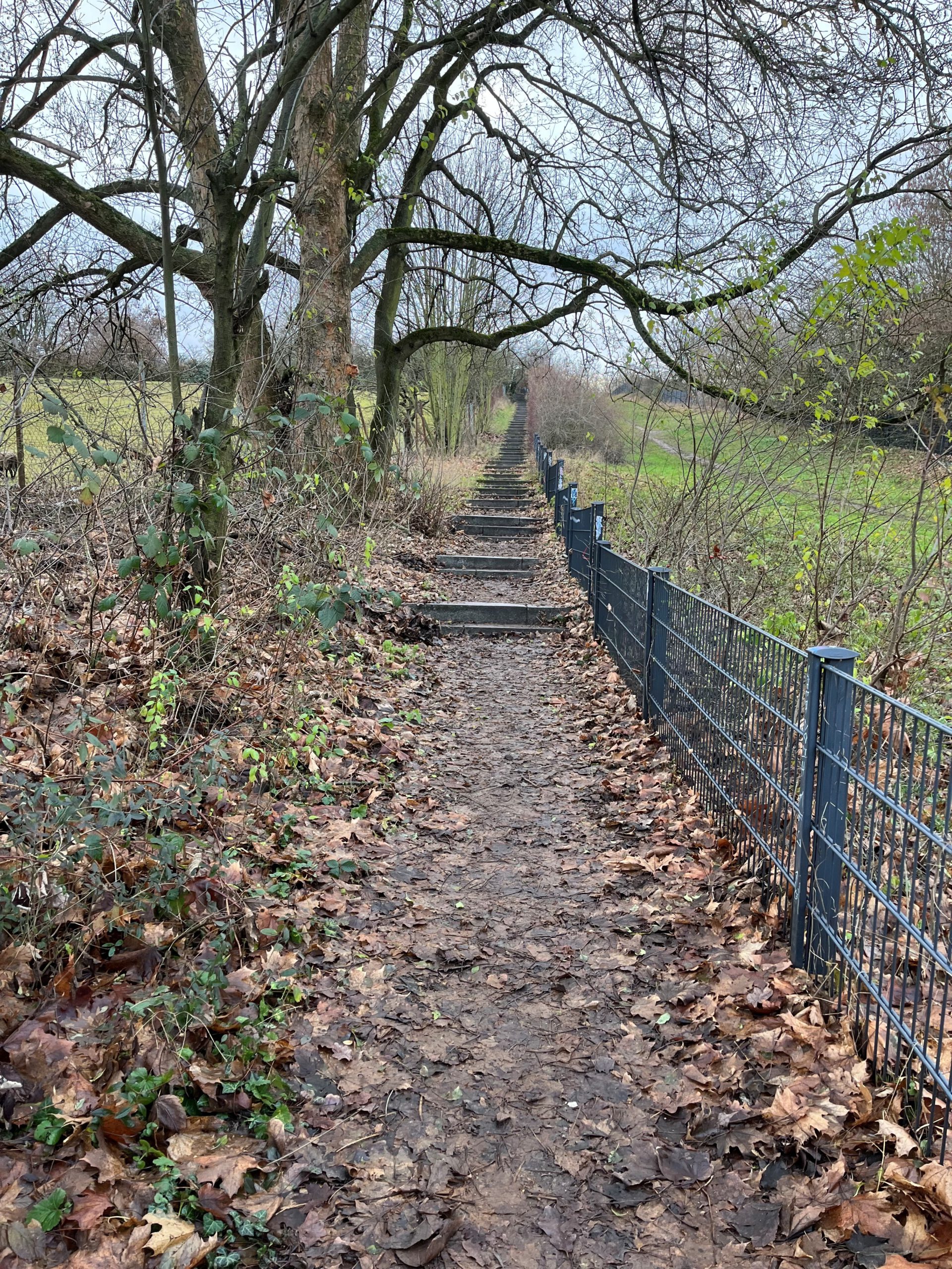 Kleine leise Schritte | Geistlicher Impuls | 25.02.2026