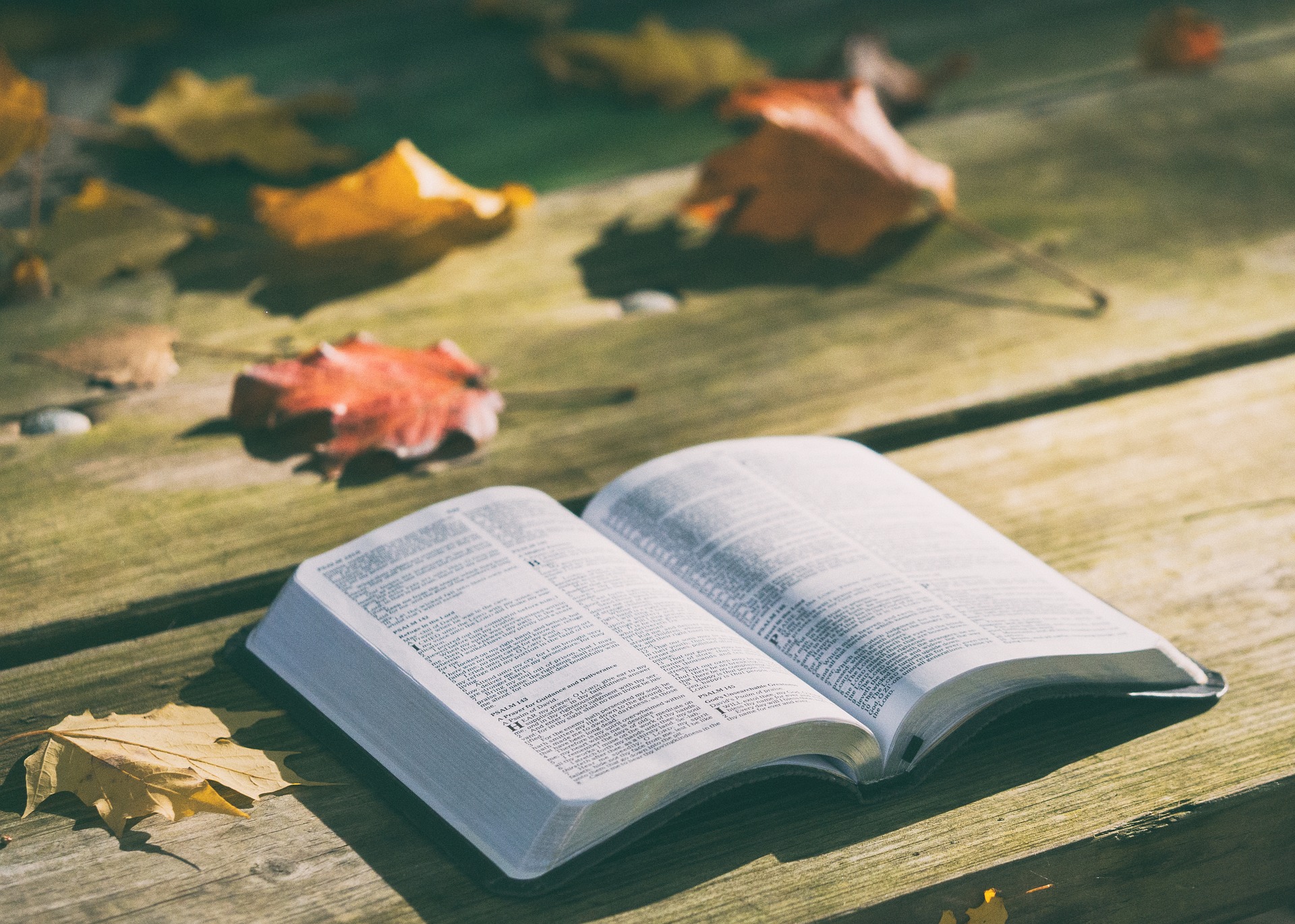 Ökumenische Bibelwoche zum Buch Daniel – online! Teil I