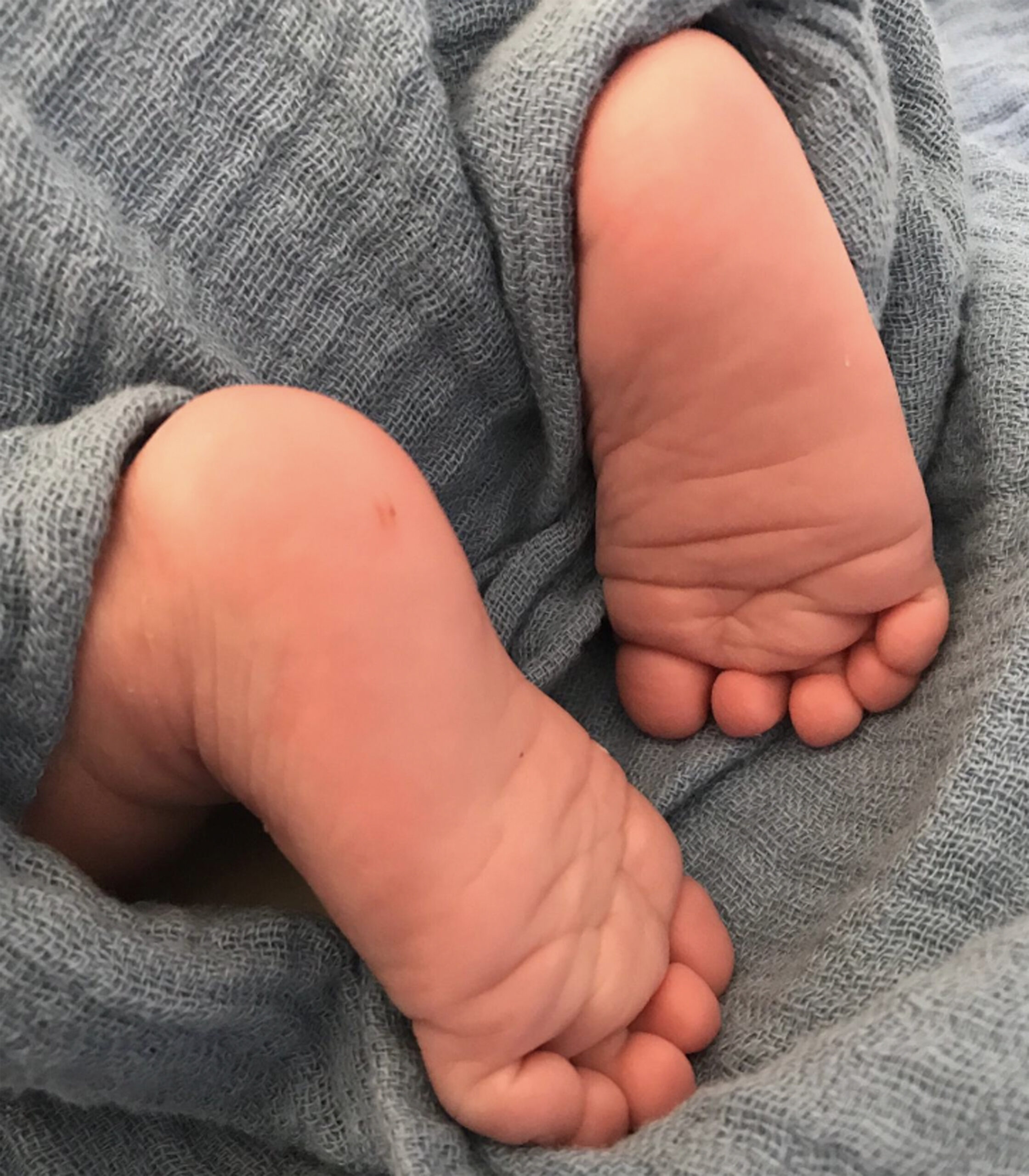 Taufkurs am Sonnabend, den 18.Oktober 2025 – Workshop zur Vorbereitung